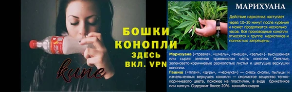 PSILOCYBIN Верхний Тагил