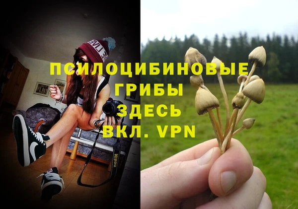 PSILOCYBIN Верхний Тагил